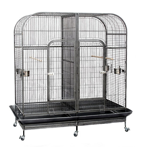 cockatoo cage